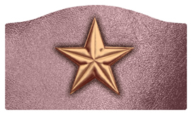 DASHELL-430-CP-OR Star Copper-Orchid